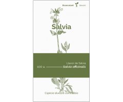 COL·LECTIU EIXARCOLANT. SÀLVIA (SALVIA OFFICINALIS). LLAVORS DE VARIETATS AGRÍCOLES TRADICIONALS