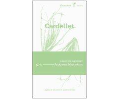 COL·LECTIU EIXARCOLANT. CARDELLET (SCOLYMUS HISPANICUS). LLAVORS DE VARIETATS AGRÍCOLES TRADICIONALS