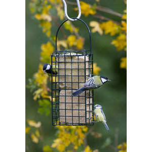 SFD-SO COMEDERO DOBLE PARA PASTELES DE SEBO 3