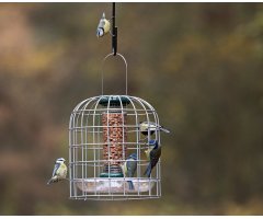 BFG-3 BIRD FEEDER GUARDIANS PEQUEÑO 2