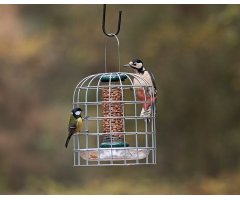BFG-3 BIRD FEEDER GUARDIANS PEQUEÑO 3