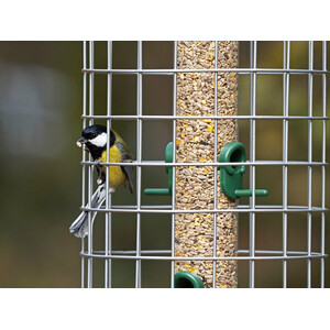 BFG-4 BIRD FEEDER GUARDIANS MEDIANO 3