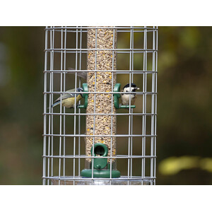 BFG-4 BIRD FEEDER GUARDIANS MEDIANO 4