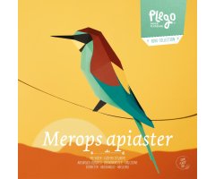 PLEGOPAPER- FIGURA RECORTABLE DE ABEJARUCO EUROPEO (ABELLEROL)