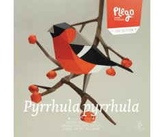 PLEGOPAPER- FIGURA RECORTABLE DE CAMACHUELO COMÚN (PINSÀ BORRONER)