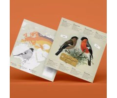 PLEGOPAPER- FIGURA RECORTABLE DE CAMACHUELO COMÚN (PINSÀ BORRONER) 2