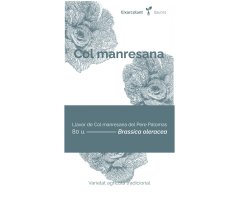 COL·LECTIU EIXARCOLANT. COL MANRESANA (BRASSICA OLERACEA). LLAVORS DE VARIETATS AGRÍCOLES TRADICIONALS