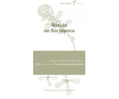 COL·LECTIU EIXARCOLANT. RÚCULA DE FLOR BLANCA (ERUCA VESICARIA SUBSP. SATIVA). LLAVORS DE VARIETATS AGRÍCOLES TRADICIONALS