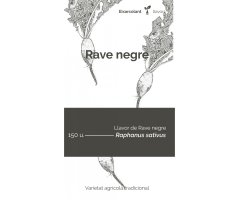 COL·LECTIU EIXARCOLANT. RAVE NEGRE (RAPHANUS SATIVUS). LLAVORS DE VARIETATS AGRÍCOLES TRADICIONALS