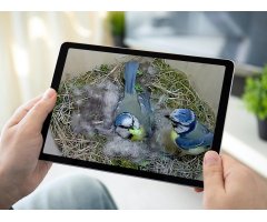 BIRD BOX CAMERA HD CÁMARA A COLOR PARA COLOCAR EN CAJAS NIDO CON CONEXIÓN WIFI                                                                         5