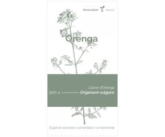 COL·LECTIU EIXARCOLANT. ORENGA (ORIGANUM VULGARE). LLAVORS DE VARIETATS AGRÍCOLES TRADICIONALS