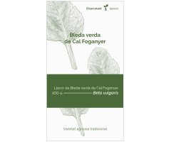 COL·LECTIU EIXARCOLANT. BLEDA VERDA DE CAL FOGANYER (BETA VULGARIS). LLAVORS DE VARIETATS AGRÍCOLES TRADICIONALS