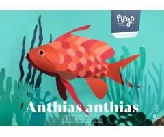 PLEGOPAPER- FIGURA RECORTABLE ANTHIAS ANTHIAS (TRES COLAS - FORCADELLA)
