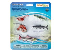 FIGURAS CICLO DE LA VIDA EL SALMÓN
