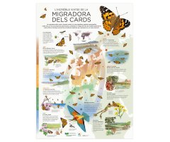 PÓSTER L'INCREÏBLE VIATGE DE LA MIGRADORA DELS CARDS