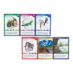 JOC DE CARTES HERPETON_1