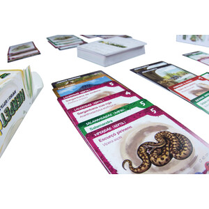 JOC DE CARTES HERPETON 4