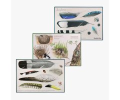 COFFRET DÉCOUVERTE DES OISEAUX (CAIXA PER DESCOBRIR ELS OCELLS/ CAJA PARA DESCUBRIR LAS AVES) 3