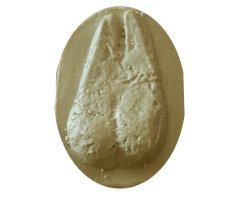 MOLDE HUELLA CAPRA PYRENAICA (CABRA MONTÉS, HERC, HIRCO, BASKAUNTZ PIRINIARRA)
