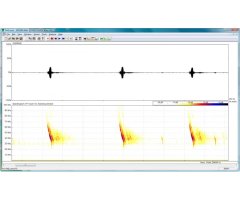 PROGRAMA INFORMÁTICO DE ANÁLISIS DE LOS GRITOS DE MURCIÉLAGOS PETTERSSON BATSOUND REAL-TIME SPECTROGRAM ANALYSIS, version 4.7 - LICENCIA PARA 5 USUARI