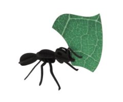 ROMPECABEZAS 3D ENTOMOLOGY PUZZLE - PAPER LEAFCUTTER ANTS