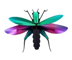 ROMPECABEZAS 3D ENTOMOLOGY PUZZLE - GRASSHOPPER