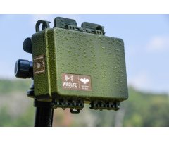 GRABADORA PASIVA DE ULTRASONIDOS SONG METER MINI BAT 2 PARA PILAS RECARGABLES DE LITIO DE WILDLIFE ACOUSTICS (SM MINI BAT 2 L)_1
