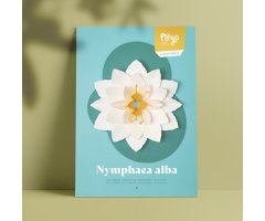 PLEGO POP UP NYMPHAEA ALBA (NENÚFAR))