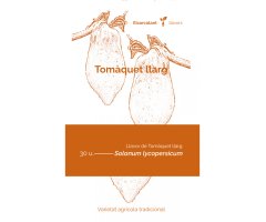 COL·LECTIU EIXARCOLANT. TOMÀQUET LLARG (SOLANUM LYCOPERSICUM). LLAVORS DE VARIETATS AGRÍCOLES TRADICIONALS