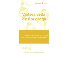 COL·LECTIU EIXARCOLANT. VIOLERA VELLA DE FLOR GROGA (ERYSIMUM CHEIRI). LLAVORS DE VARIETATS AGRÍCOLES TRADICIONALS