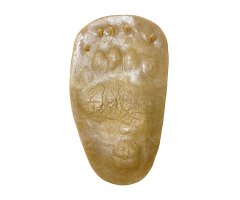 MOLDE HUELLA MANO URSUS ARCTOS (OSO PARDO, ÓS BRU, OSO, ARTZ) 
