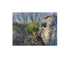 ESCONDITE FOTOGRÁFICO TRAGOPAN V7  5