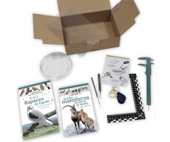 KIT DE RASTREO_1