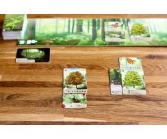 JOC EMBOSCA'T. FOREST SHUFFLE EN CATALÀ 3