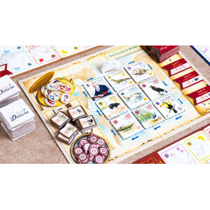 JUEGO DE MESA TRAS LOS PASOS DE DARWIN 4