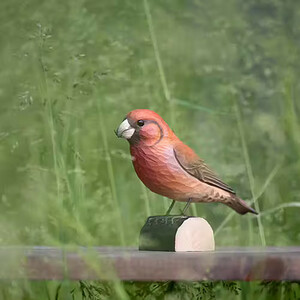 DECOBIRD FIGURA DE PIQUITUERTO_1
