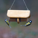 FB-THD TREEHOUSE DUPLEX COMEDERO FLUTTER BUTTER PARA BOTES DE SEBO_1