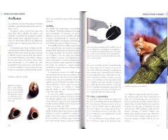HUELLAS Y SEÑALES DE LOS ANIMALES DE EUROPA                                                                                                            2