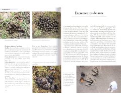 HUELLAS Y SEÑALES DE LOS ANIMALES DE EUROPA                                                                                                            3