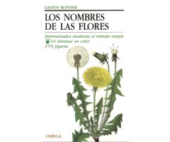 LOS NOMBRES DE LAS FLORES