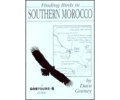 FINDING BIRDS IN SOUTHERN MOROCCO