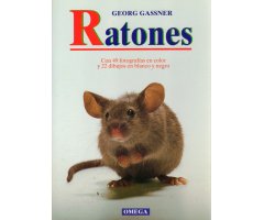 RATONES                                                                                                                                               