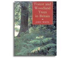 FOREST AND WOODLAND TREES IN BRITAIN