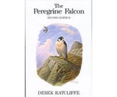 THE PEREGRINE FALCON.