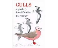 GULLS. A GUIDE TO IDENTIFICATION