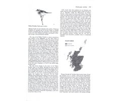 BIRDS IN SCOTLAND 5