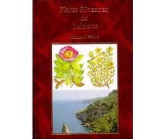 FLORES SILVESTRES DE LAS ISLAS BALEARES