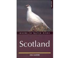WHERE TO WATCH BIRDS IN SCOTLAND