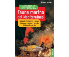 FAUNA MARINA DEL MEDITERRÁNEO                                                                                                                         