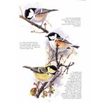THE COMPLETE GARDEN BIRD BOOK. HOW TO IDENTIFY AND ATTRACT BIRDS TO YOUR GARDEN 2N EDITION 4